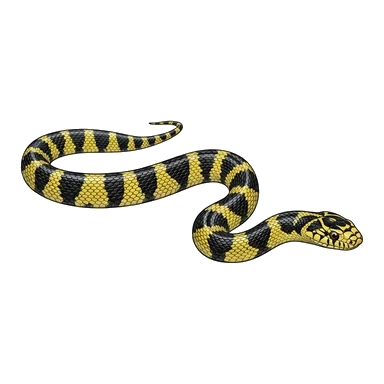 Broad-headed snake కార్టూన్