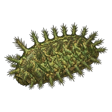 د Crowned slug caterpillar کارټون