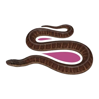 کارتون Fiji snake