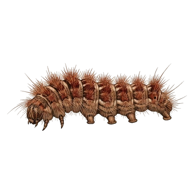 د Pararama caterpillar کارټون